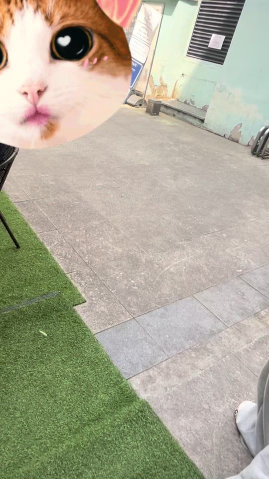 TikTok video thumbnail by sldoal.j