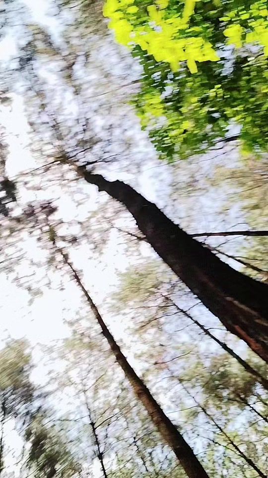 TikTok video thumbnail by iwan_ardy17