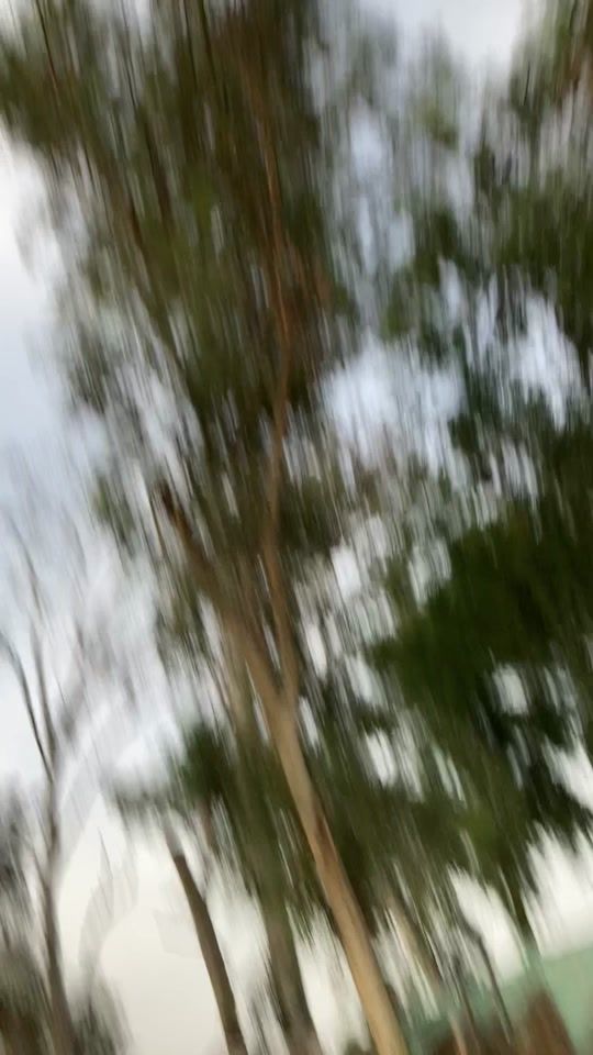 TikTok video thumbnail by savera940