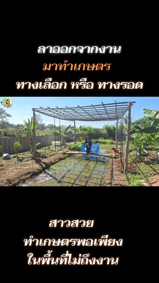 TikTok video thumbnail by mutan_6366