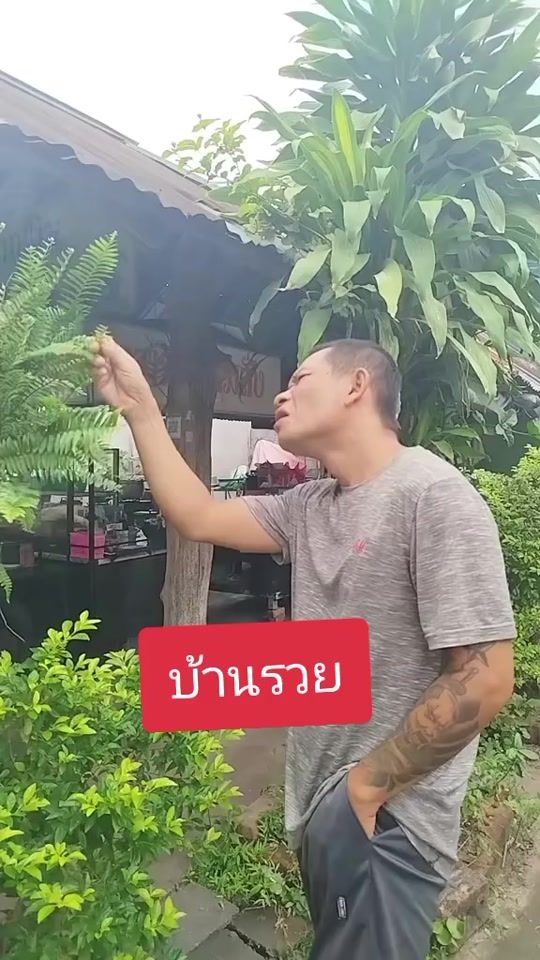 TikTok video thumbnail by chayno_ok
