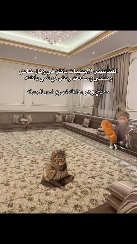 TikTok video thumbnail by z_7.xo