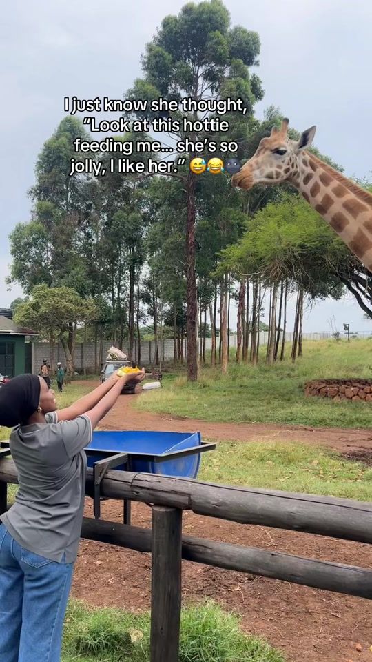 TikTok video thumbnail by abbiekarim3