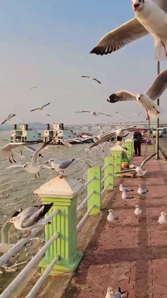 TikTok video thumbnail by malhtwelay23
