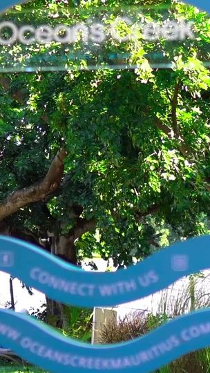 TikTok video thumbnail by oceans.creek.mauritius