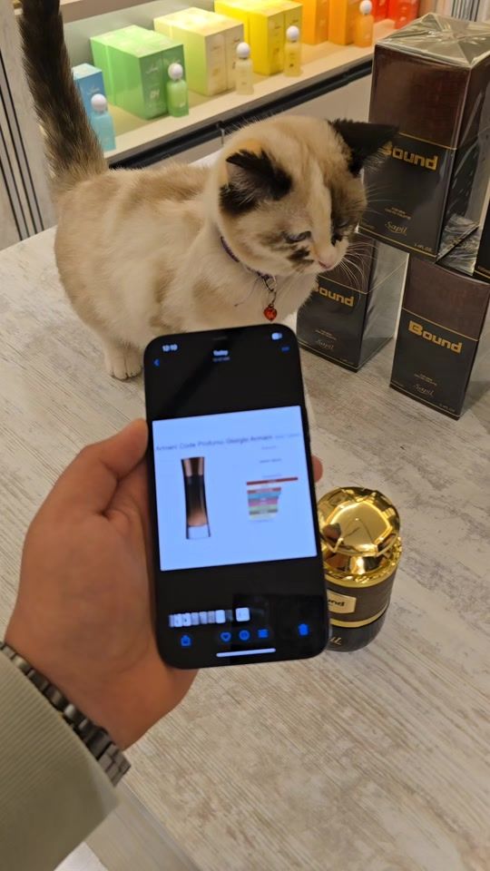 TikTok video thumbnail by bg.ba.008