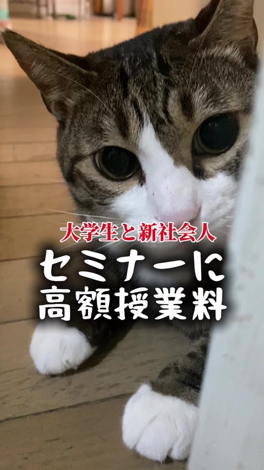 TikTok video thumbnail by kyuta3