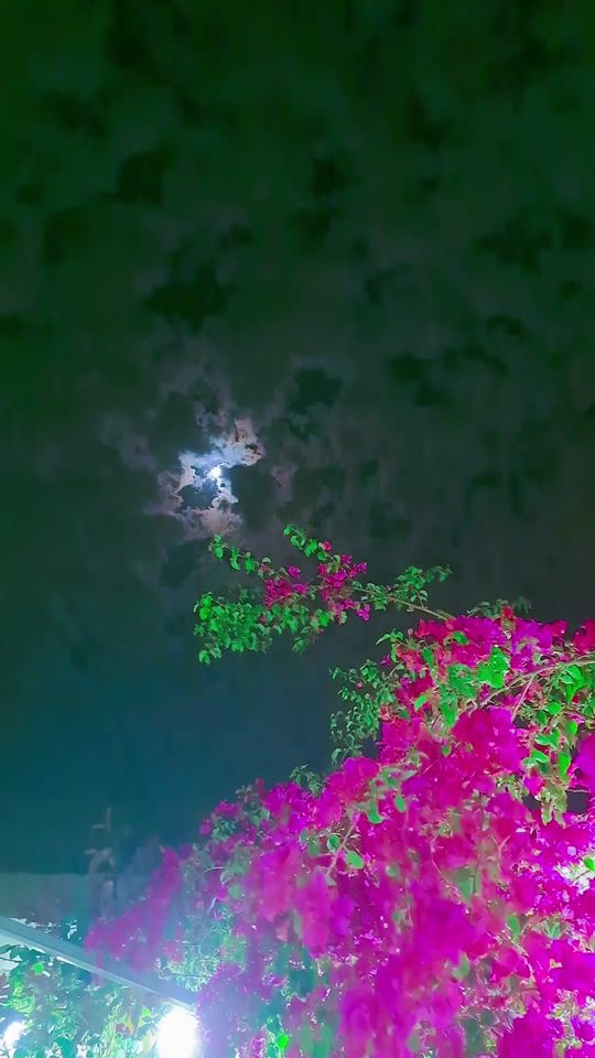 TikTok video thumbnail by raboosh89