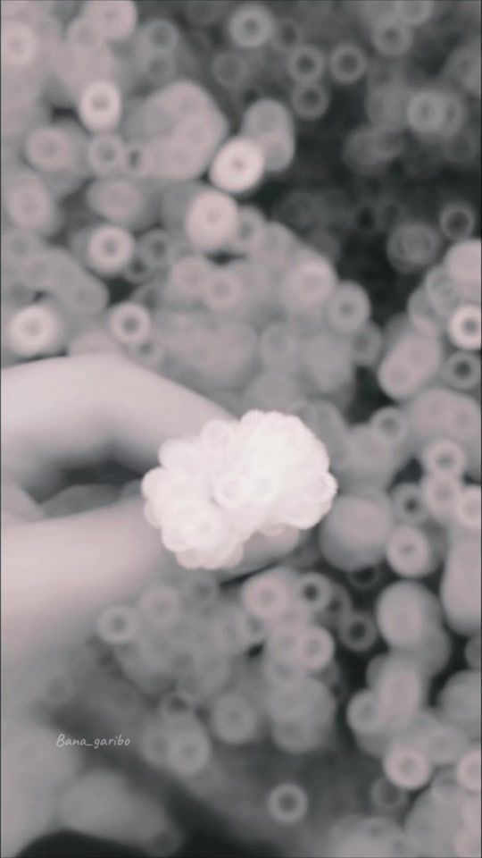 TikTok video thumbnail by bana_garibo