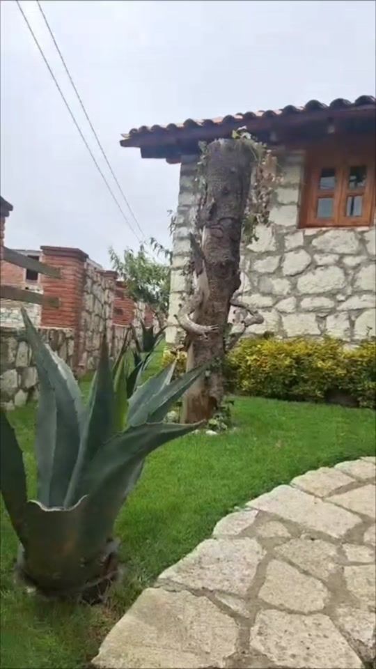 TikTok video thumbnail by cabaasamores