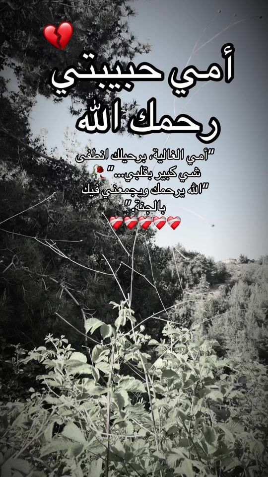 TikTok video thumbnail by quran_karem.cv2