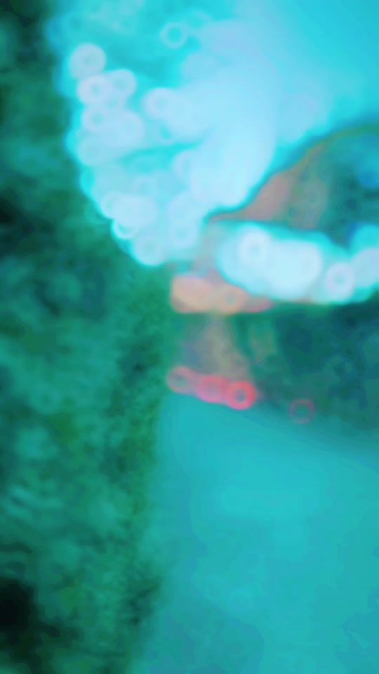 TikTok video thumbnail by ashenekanayaka6