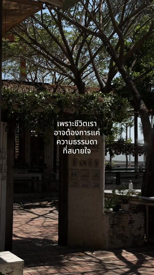 TikTok video thumbnail by gooddayisth