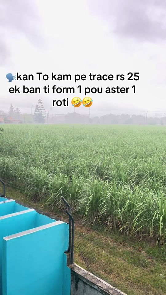 TikTok video thumbnail by vardish7