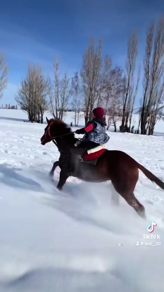 TikTok video thumbnail by ledi__20