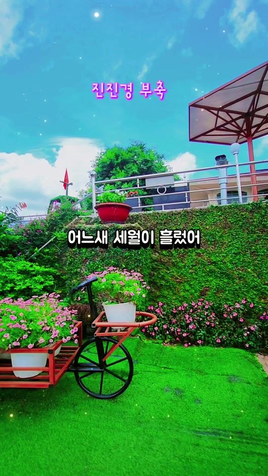 TikTok video thumbnail by user4355765309676