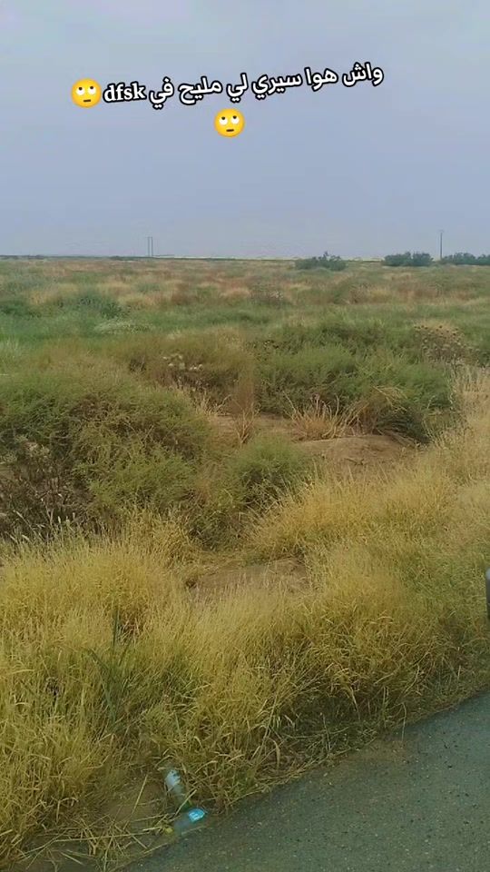 TikTok video thumbnail by zohir_il07