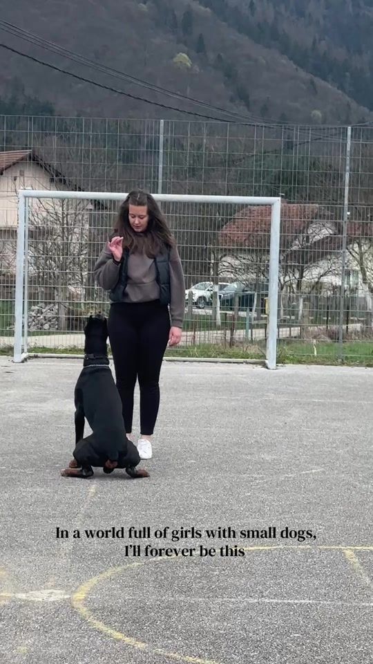 TikTok video thumbnail by bucalovich