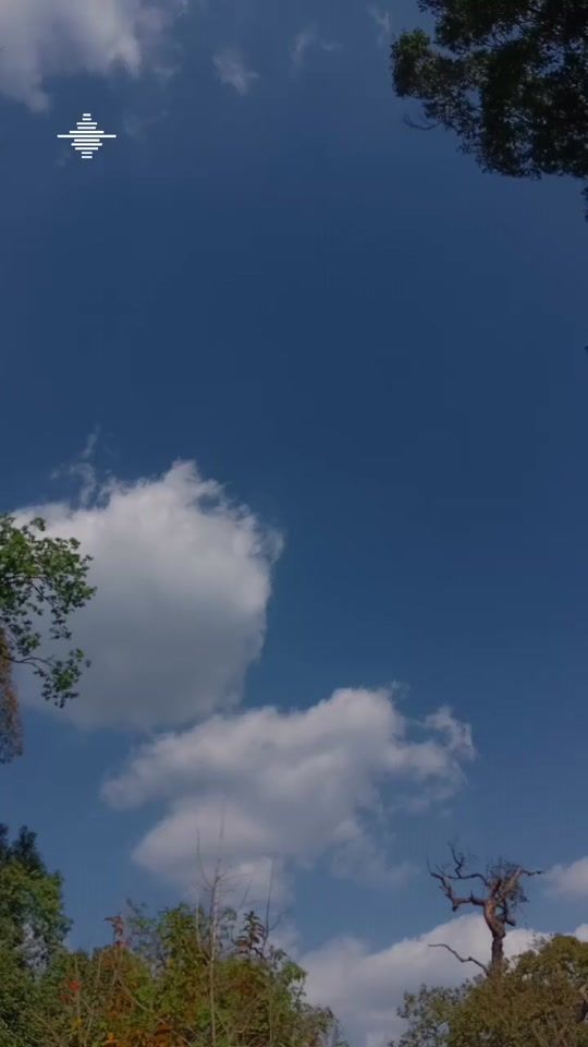 TikTok video thumbnail by 712ee1
