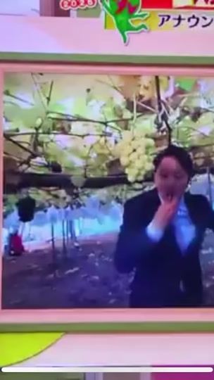 TikTok video thumbnail by yuyu.ll