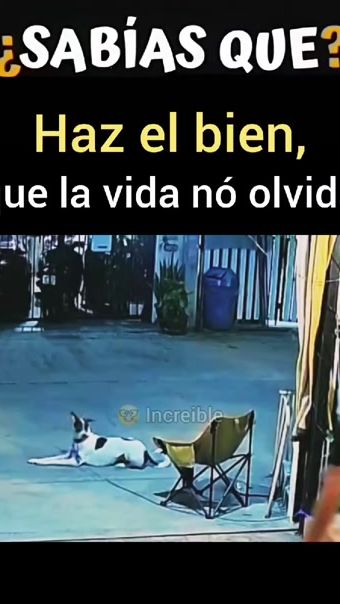 TikTok video thumbnail by increible____