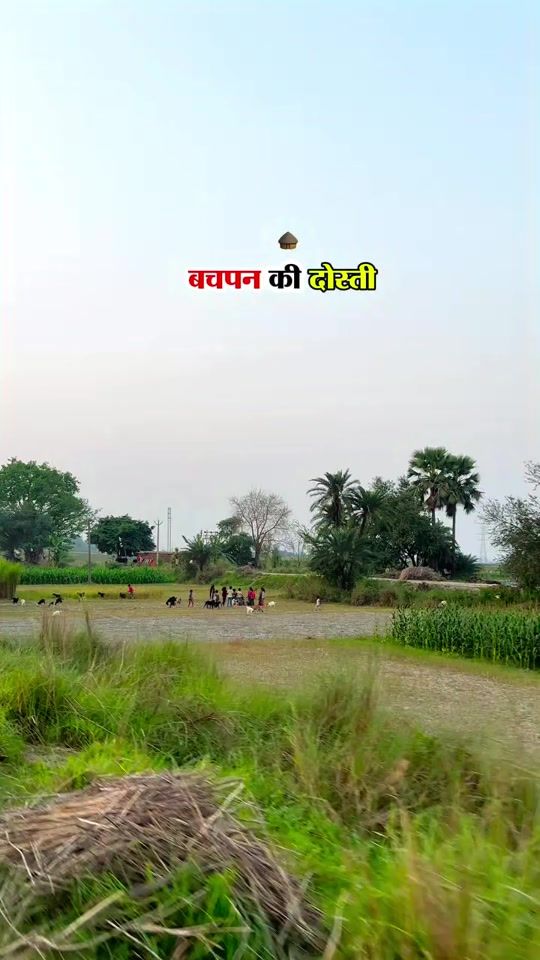 TikTok video thumbnail by sharif.j.m