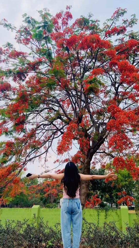TikTok video thumbnail by .poewati