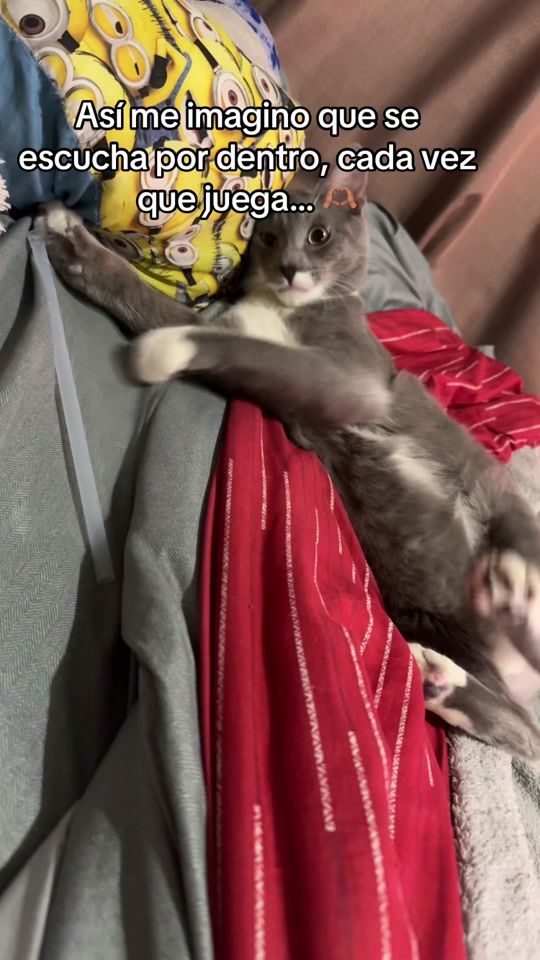 TikTok video thumbnail by rosaknela