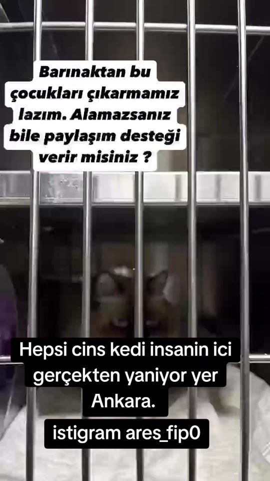TikTok video thumbnail by derinnnn27
