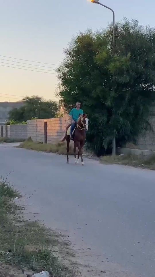 TikTok video thumbnail by basher_333