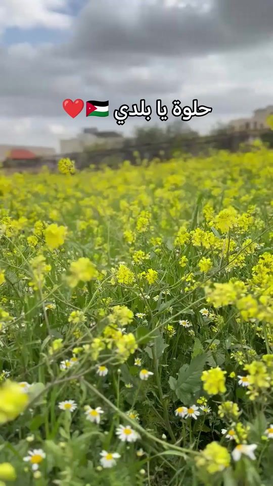 TikTok video thumbnail by mo..zak0