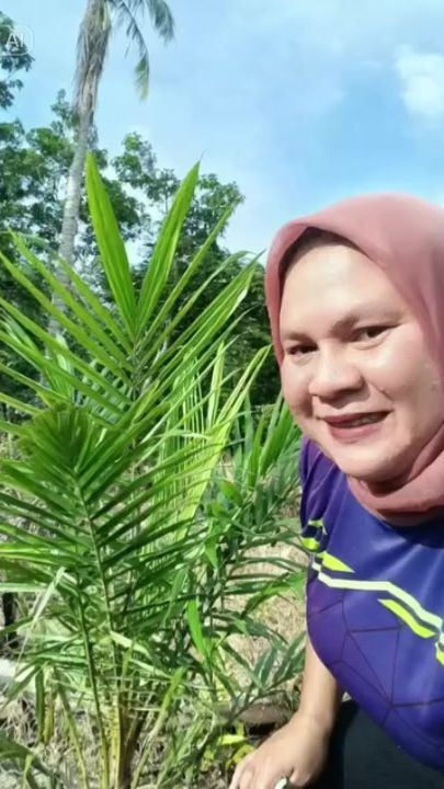 TikTok video thumbnail by benyfadhil0