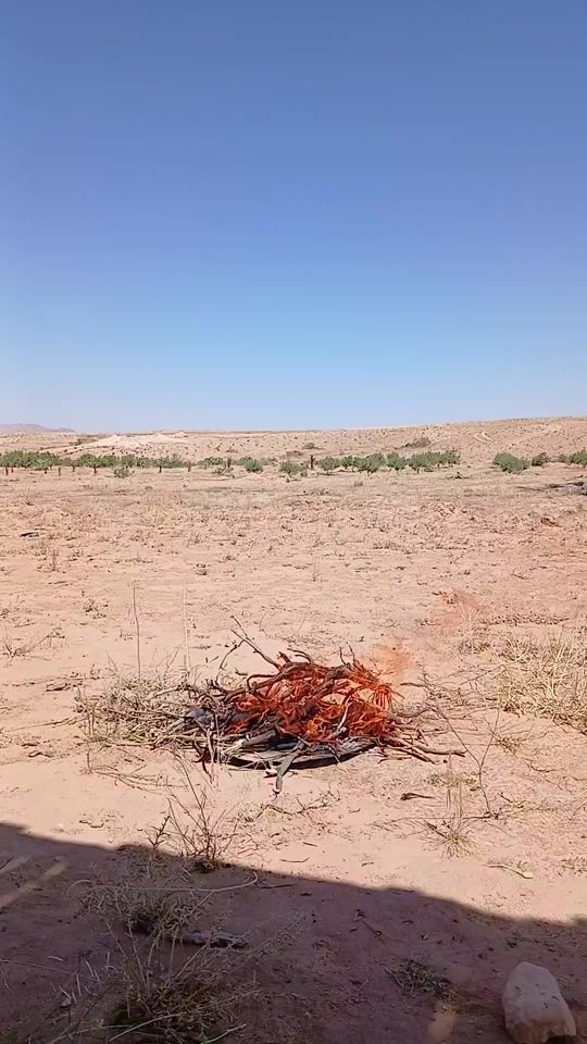 TikTok video thumbnail by zineddine154