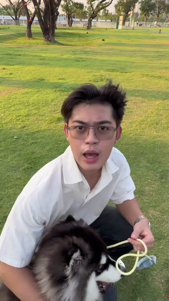 TikTok video thumbnail by numpi6