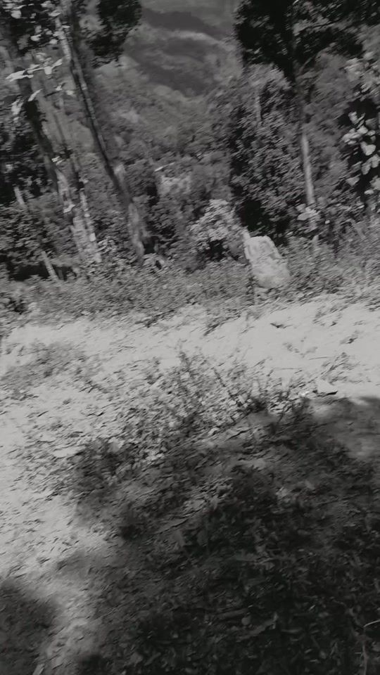 TikTok video thumbnail by jeremias.molinare