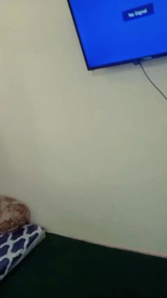 TikTok video thumbnail by margob31