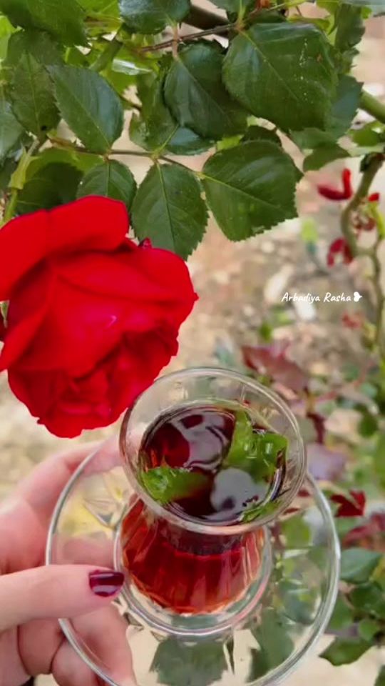 TikTok video thumbnail by .rasha_27787