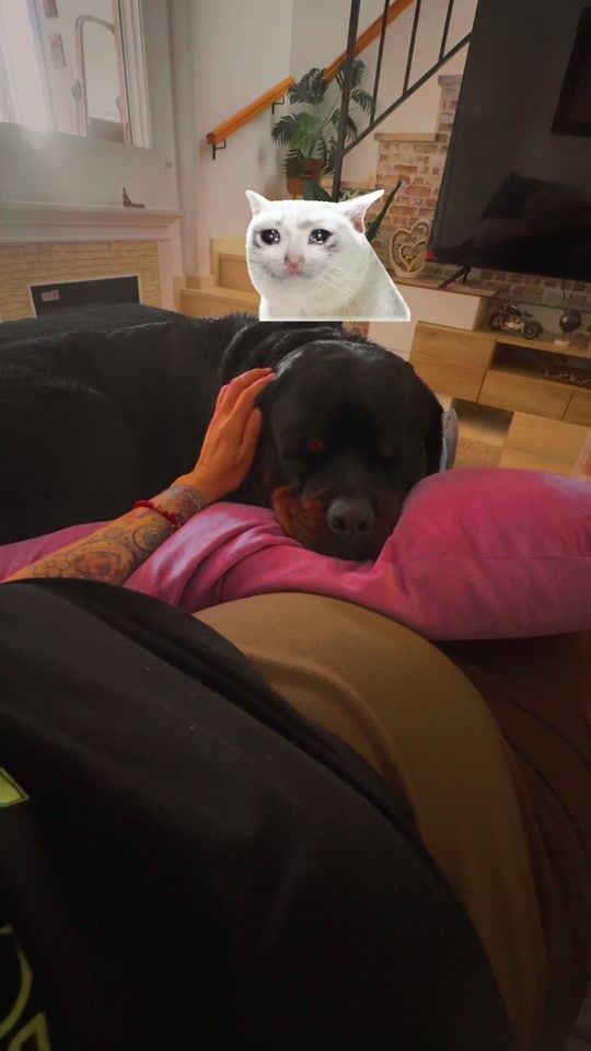 TikTok video thumbnail by elkaiser.rotti