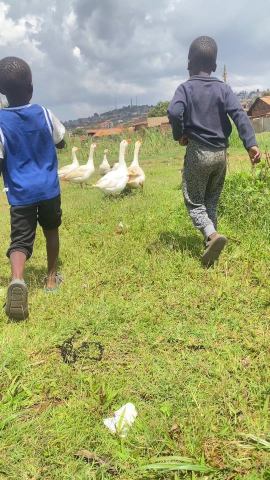 TikTok video thumbnail by livekinguganda