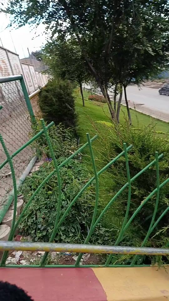 TikTok video thumbnail by armindacastillo7