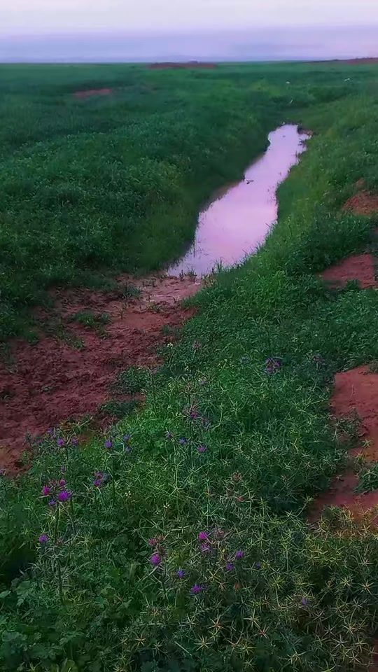 TikTok video thumbnail by .254941