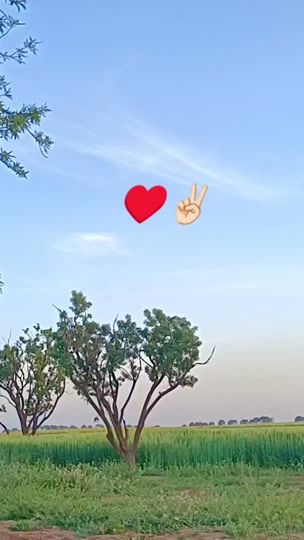 TikTok video thumbnail by nasro_no_20