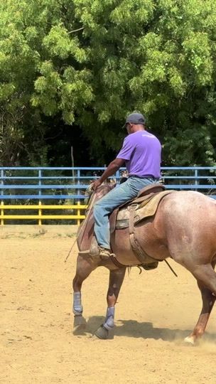 TikTok video thumbnail by jv_performancehorses