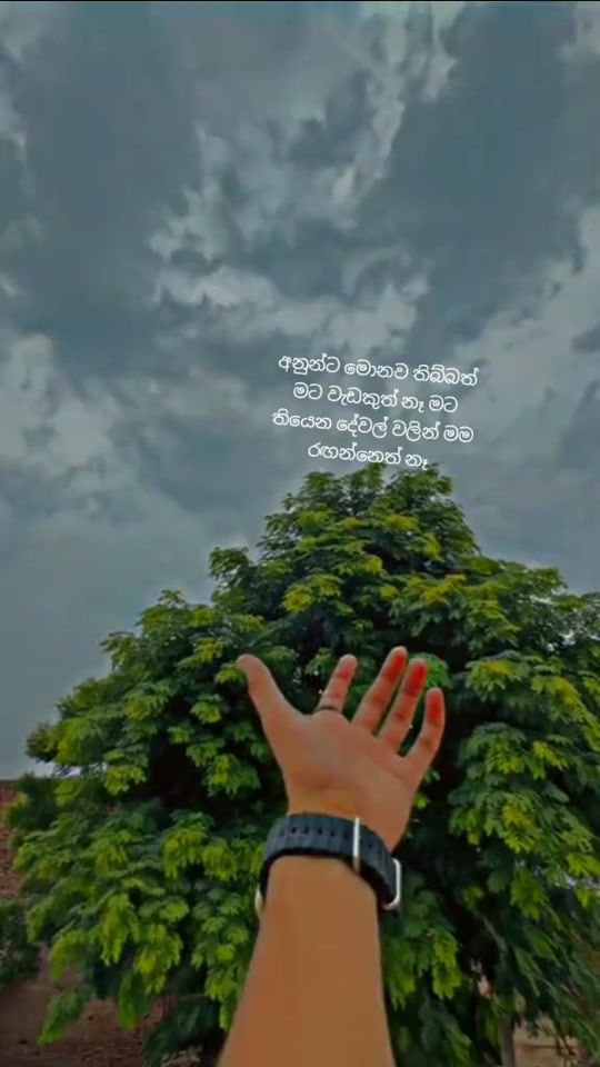 TikTok video thumbnail by stf.stf.stf.stf