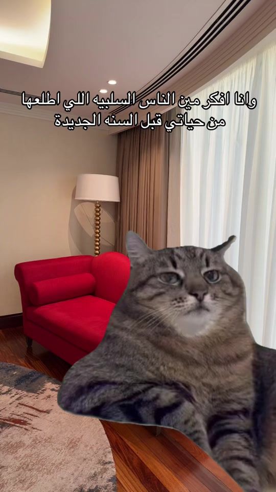 TikTok video thumbnail by the_lest0
