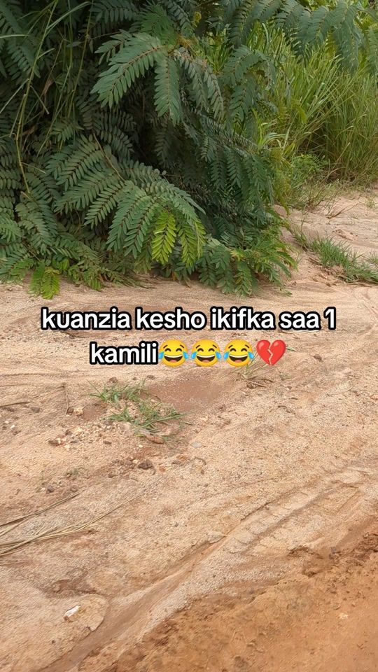 TikTok video thumbnail by amor.tz