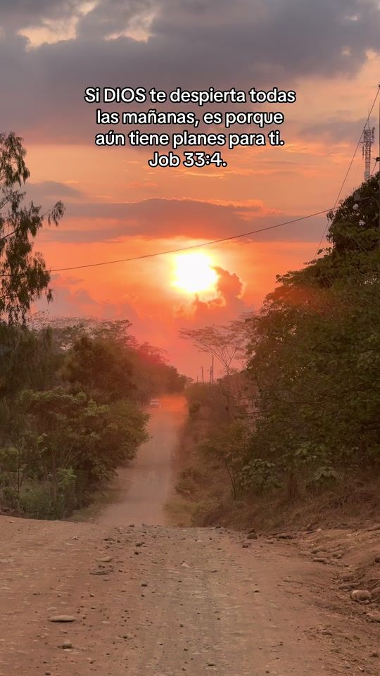 TikTok video thumbnail by 0rlando_donis
