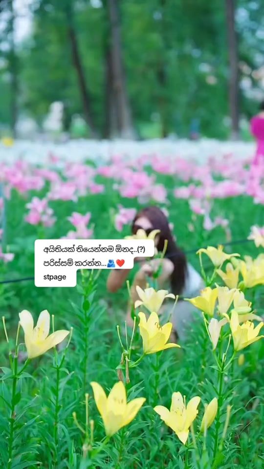 TikTok video thumbnail by userstpage