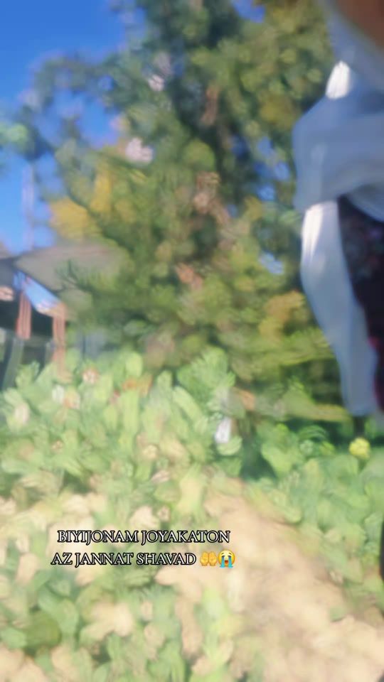 TikTok video thumbnail by rayxon770