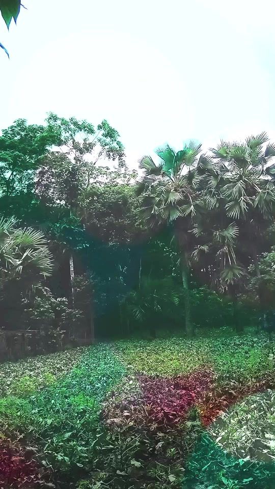 TikTok video thumbnail by haider.ali3760